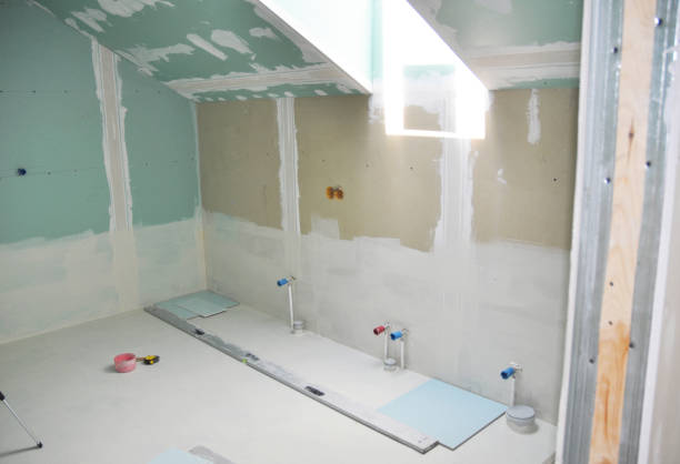 Best Mold Damage Restoration  in Etowah, TN