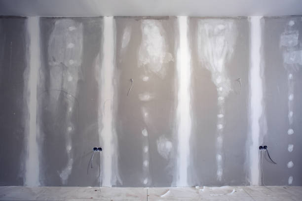 Best Commercial Mold Inspection  in Etowah, TN